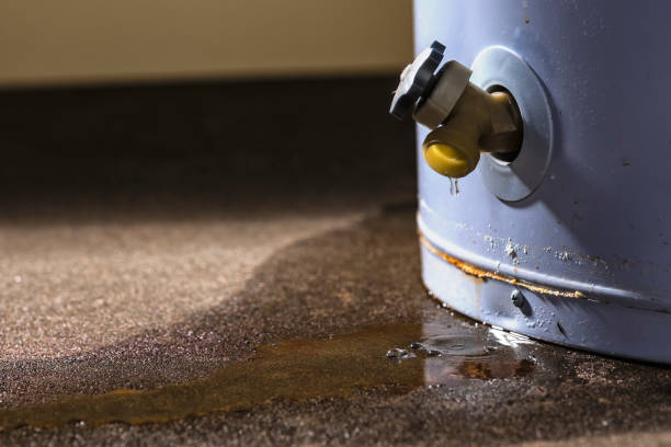 Best Water damage restoration process  in Palestine, IL