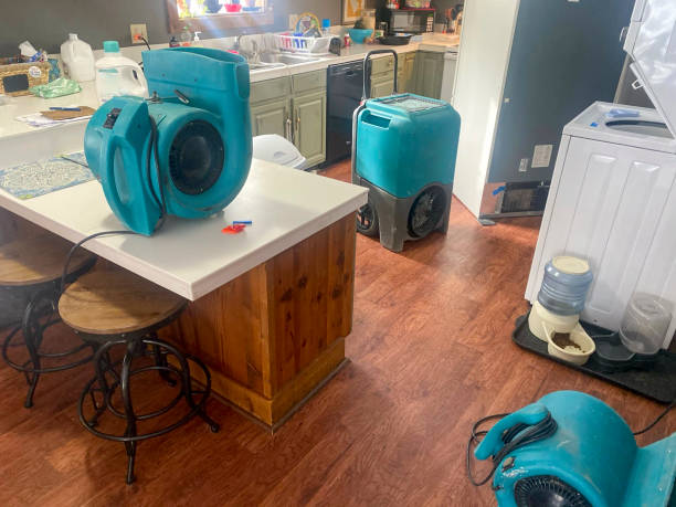 Best Emergency water damage restoration  in Palestine, IL