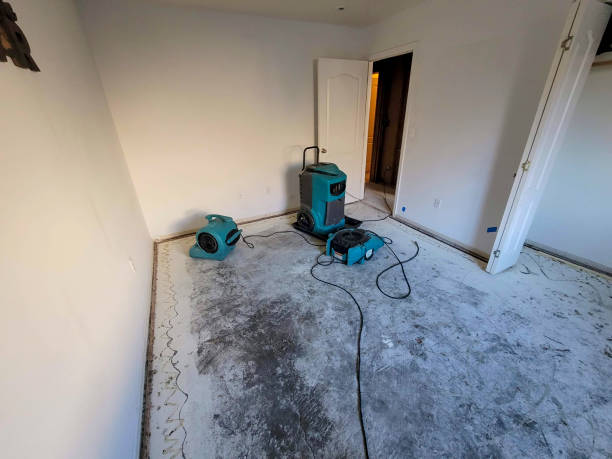 Best Ceiling water damage repair  in Palestine, IL