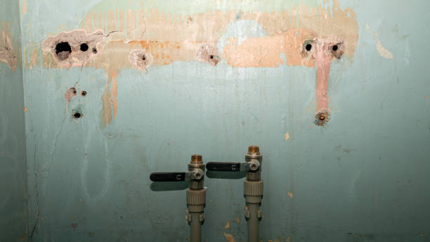 Best Residential water damage restoration  in Palestine, IL