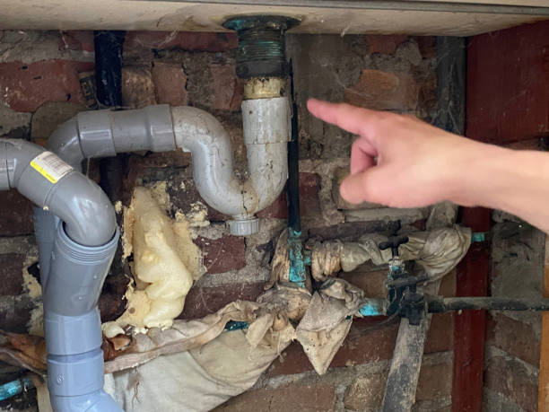 Reliable Palestine, IL Water damage restoration Solutions