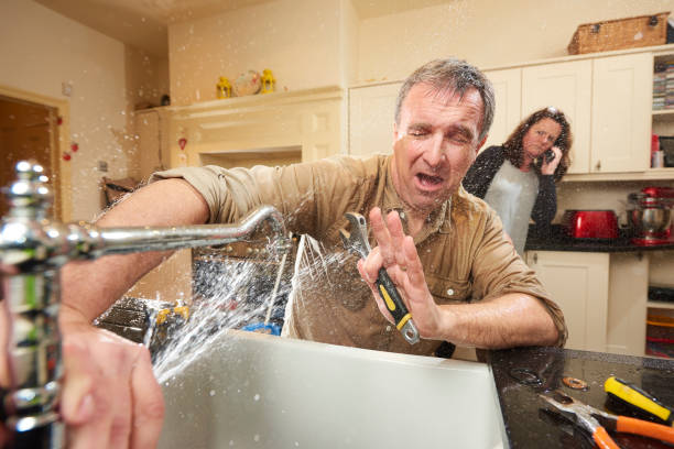 Best Basement water damage restoration  in Palestine, IL